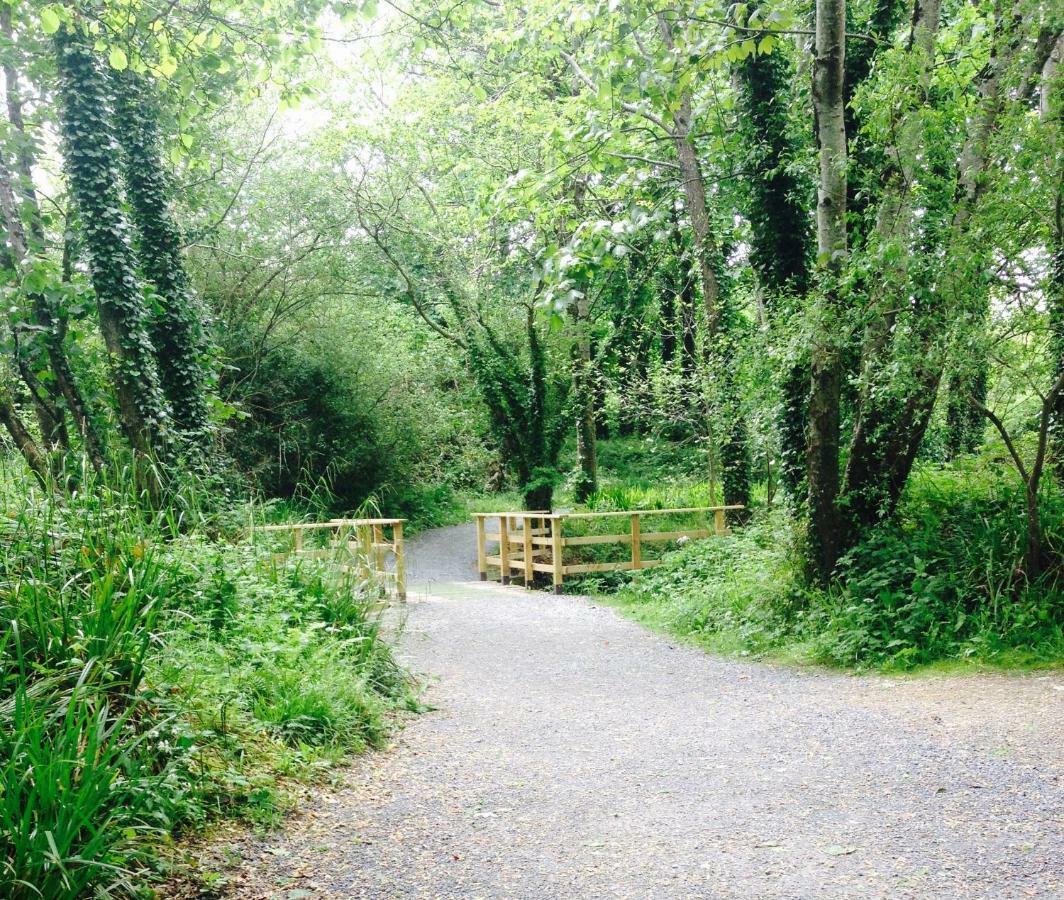 Woodleigh Lodge Gorey Luaran gambar