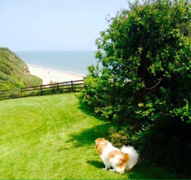 Woodleigh Lodge Gorey Luaran gambar