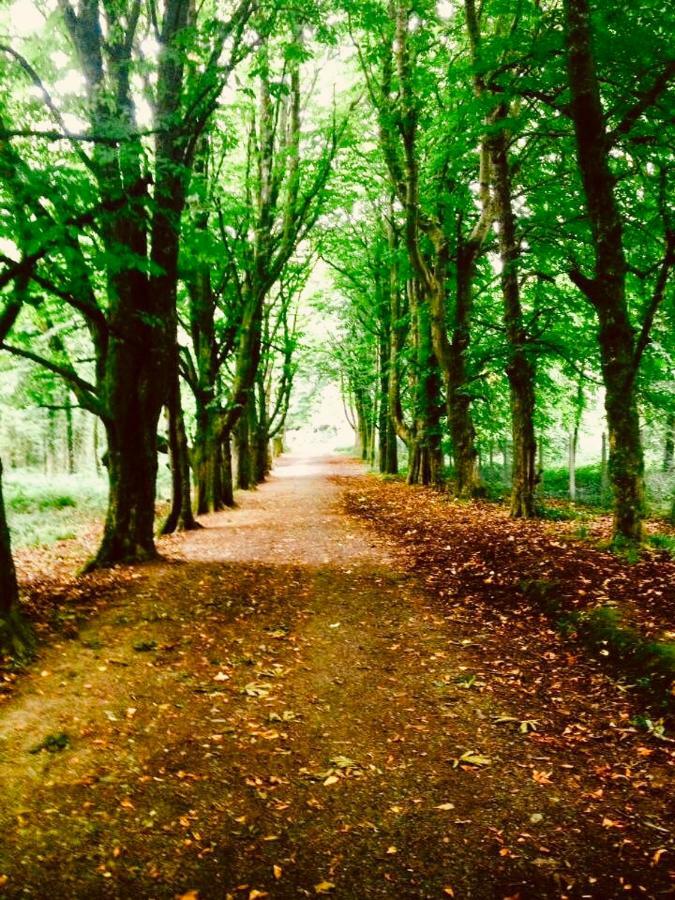 Woodleigh Lodge Gorey Luaran gambar